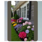 Blooming Marvelous: 18 Seasonal Flower Bed Ideas for Your Front House