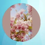 Spring Into Style: 19 Aesthetic Wallpapers for Your Digital Space