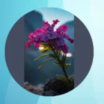 Unleash the Calm: 18 Aesthetic Wallpapers for Your iPhone