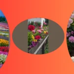 Blooming Creative: 15 Inspiring Decor Ideas for Spring