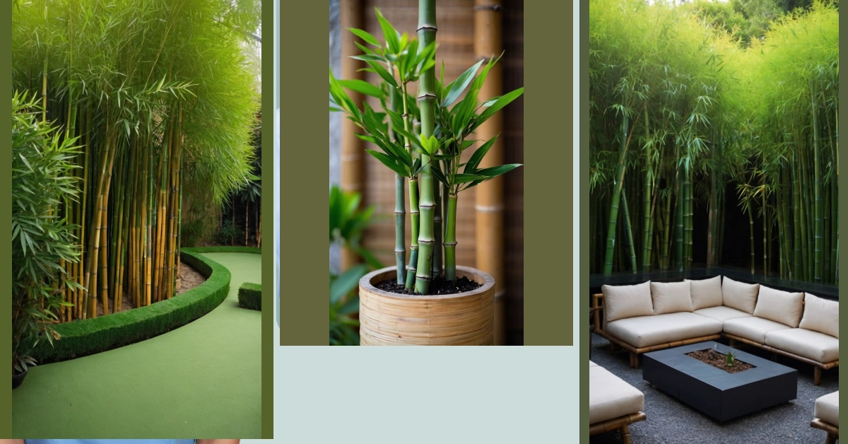 Get Your Zen On: 21 Bamboo Garden Ideas to Rejuvenate Your Space ...
