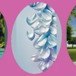 21 Premium Wallpaper Backgrounds That Will Make Your Gadgets Pop!