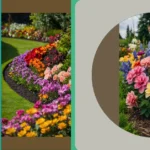 Fabulous Flower Bed Ideas: 18 Must-Try Seasonal Designs for Your Front House**

**