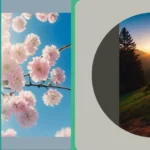 Chill Out in Style: Top 18 Aesthetic iPhone Wallpapers for Ultimate Calm**

**