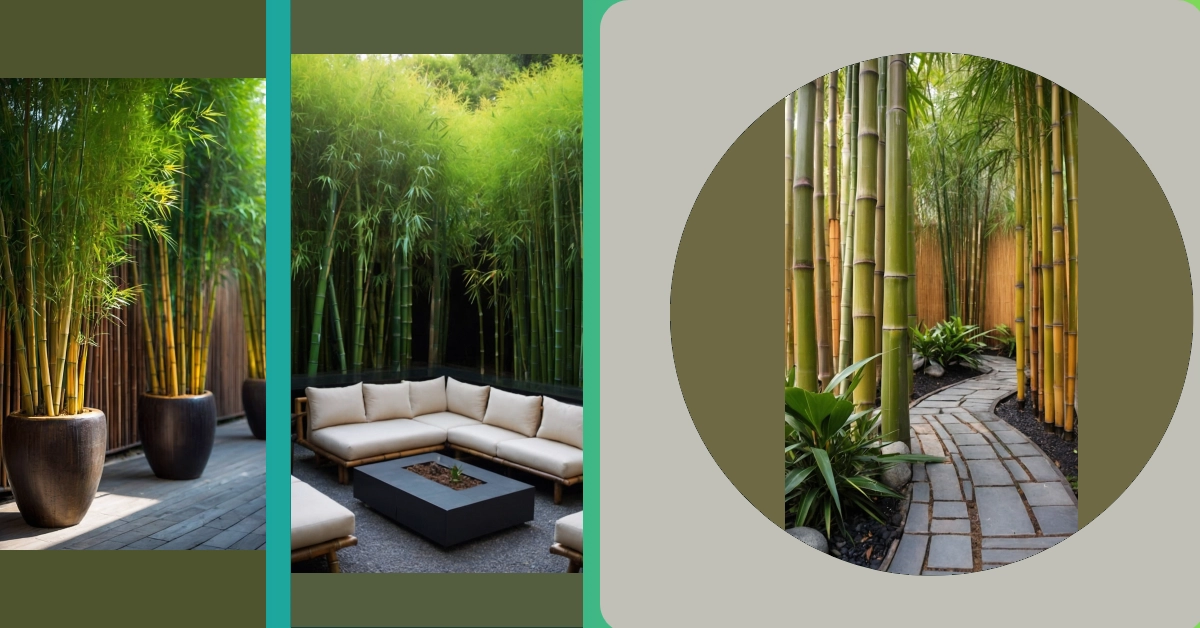 Unleashing Creativity with Bamboo Garden Ideas for Zen Spaces – Inspire ...