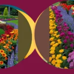 Blooming Ideas: 18 Seasonal Flower Bed Designs for a Dazzling Front of House**

**