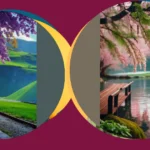 Find Your Peace: 18 iPhone Wallpapers That Exude Calmness and Style**

**