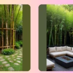 From Fences to Decor: Exploring Bamboo Garden Ideas for Zen Living
