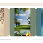 Delightful and Dazzling: 21 Premium Wallpapers for Phones and Laptops