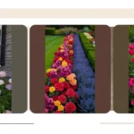 Unleashing Floral Potential: 18 Seasonal Flower Bed Designs