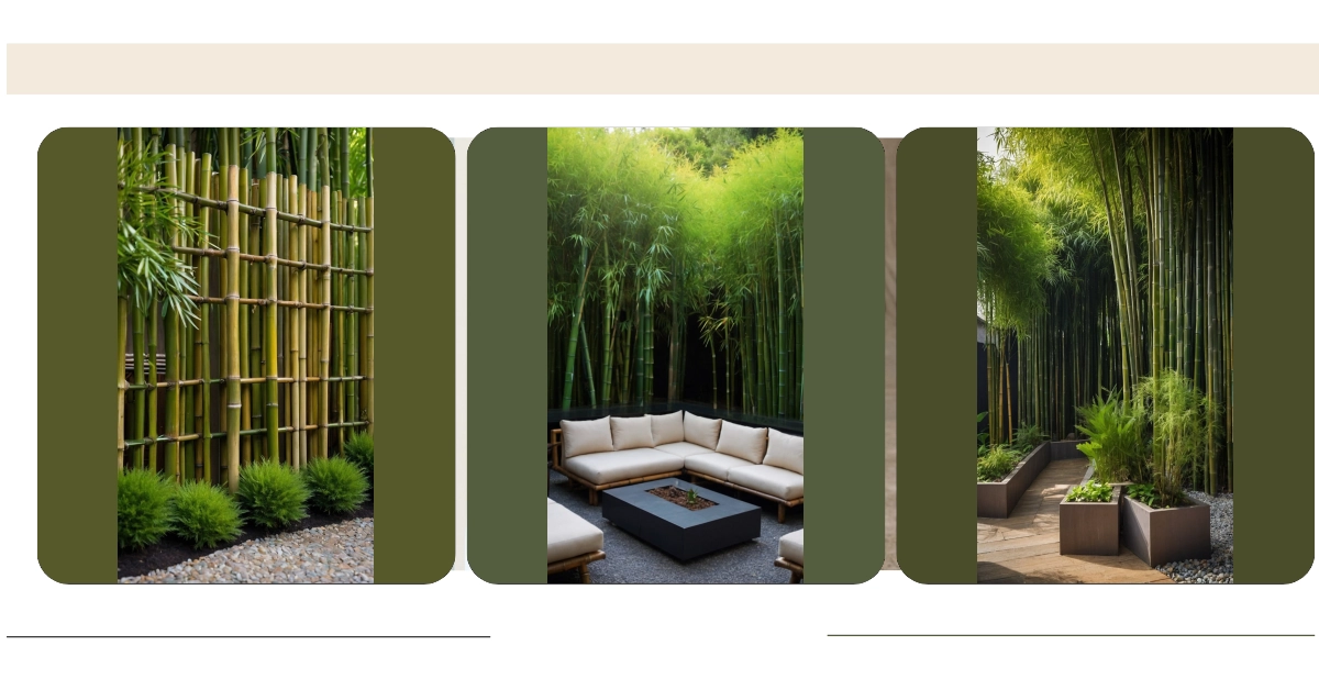 Zen It Up: 21 Amazing Bamboo Garden Ideas for Your Home – Inspire Inlet
