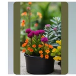 20 Faux Outdoor Plants to Spice Up Your Front Door Entrance