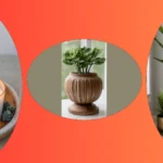 Cozy Up Your Living Room: 21 Decor Items for a Stylish Transformation