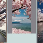 The Ultimate Guide to Cherry Blossom Spots You Can’t Miss!