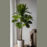 Poolside Paradise: 20 Faux Outdoor Plants for Stunning Front Doors