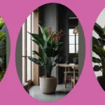 Elevate Your Living Space: 16 Indoor Plants for Cozy Decor