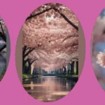 Aesthetic Adventures: 21 Cherry Blossom Hotspots You Must Visit