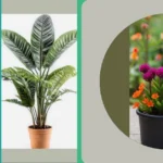 Elevate Your Front Door Porch with 20 Faux Plants That Wow!**

**