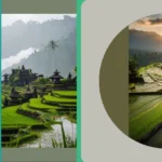 Snap Away: 17 Bali Travel Photography Ideas You’ll Adore