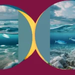 Coastal Chic: Unveiling 20 Enchanting Blue Wallpaper Inspirations