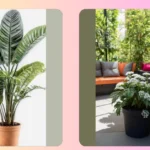 20 Faux Outdoor Plants to Brighten Up Your Pool Area and Porch**

**