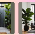 Make Room for Greenery: 16 Indoor Plants to Enhance Your Decor