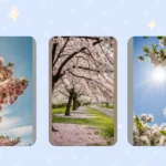 Floral Fantasy: 16 Blossoming Trees for Gardening Enthusiasts