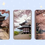 Petals of Joy: Discover 21 Cherry Blossom Locations Everyone Should Explore