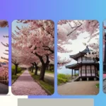Exploring 21 Iconic Cherry Blossom Spots: A Japanese Aesthetic Journey