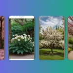 Spring into Color: 16 Must-Have Flowering Trees for Your Front Yard
