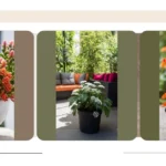 Faux-tastic Gardens: 20 Outdoor Plants to Upgrade Your Home Landscaping