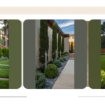 Breathe New Life Into Your Yards: 15 Property Line Landscaping Ideas