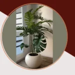 Handmade Wonders: 21 Unique Decor Items to Spruce Up Your Living Room