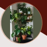 Bring Life to Your Space: 16 Plant Ideas for Every Room**  
**