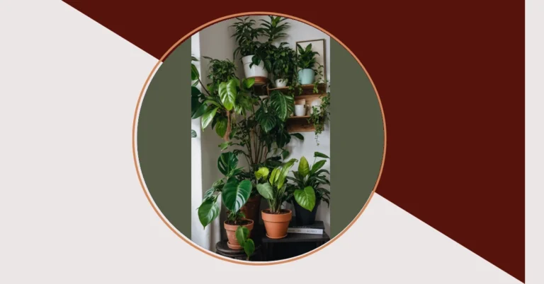 Bring Life to Your Space: 16 Plant Ideas for Every Room**  
**