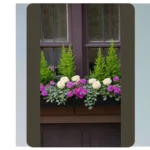 Blooming Beautiful: 21 Window Box Flower Ideas for Every Sun Level**  
**