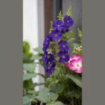 Window Box Wonders: 21 Flower Ideas for Every Sunlight Situation**  
**