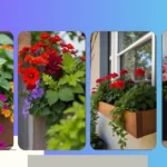 21 Window Box Flower Ideas to Brighten Your Home